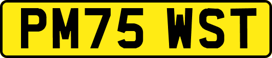 PM75WST