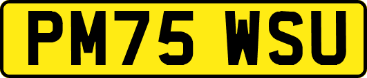 PM75WSU