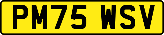 PM75WSV