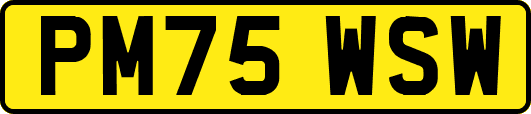 PM75WSW
