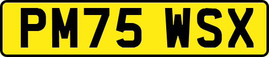 PM75WSX