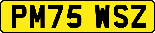 PM75WSZ