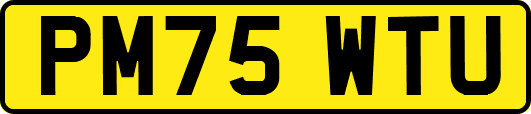 PM75WTU