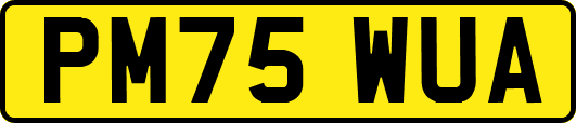 PM75WUA