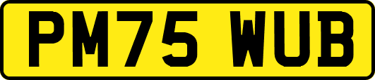 PM75WUB