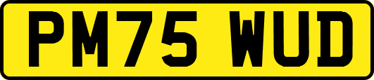 PM75WUD