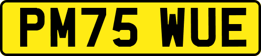 PM75WUE