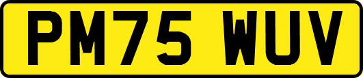 PM75WUV