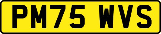 PM75WVS