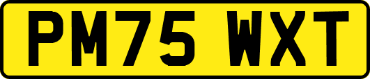 PM75WXT
