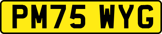 PM75WYG