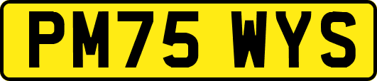 PM75WYS