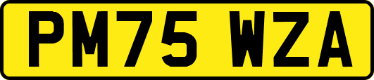 PM75WZA