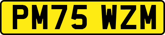 PM75WZM
