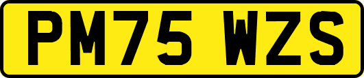 PM75WZS