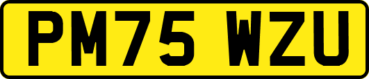PM75WZU