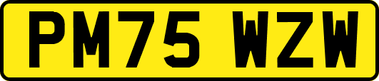 PM75WZW