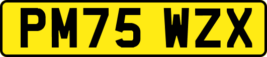 PM75WZX