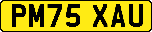 PM75XAU