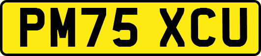 PM75XCU