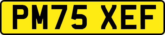 PM75XEF