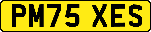 PM75XES