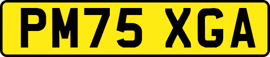 PM75XGA