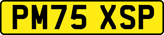 PM75XSP