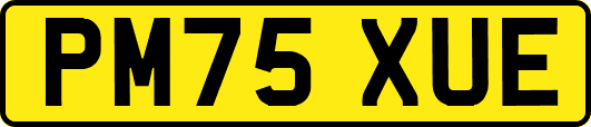 PM75XUE