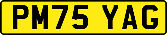PM75YAG
