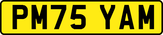 PM75YAM