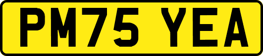 PM75YEA