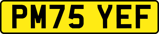 PM75YEF