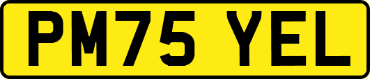 PM75YEL