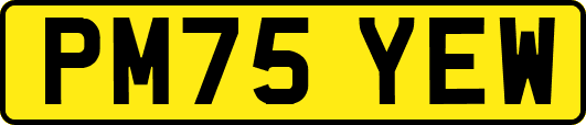 PM75YEW