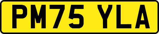 PM75YLA