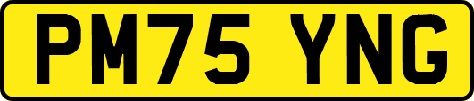 PM75YNG