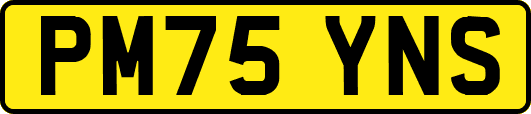 PM75YNS