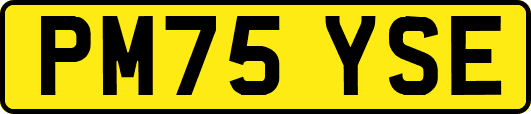 PM75YSE