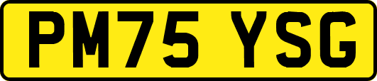 PM75YSG
