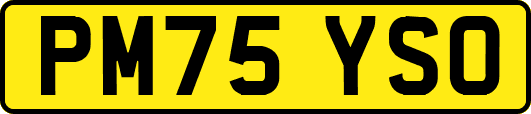 PM75YSO