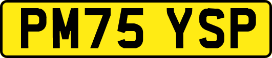 PM75YSP