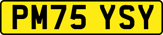 PM75YSY