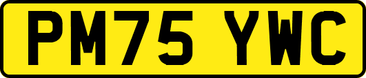 PM75YWC