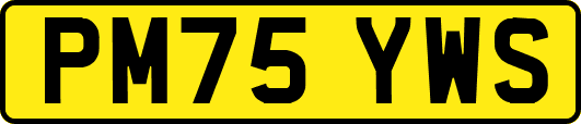 PM75YWS