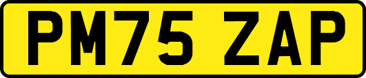 PM75ZAP