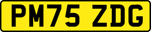 PM75ZDG