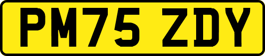 PM75ZDY