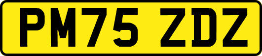 PM75ZDZ