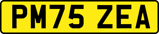PM75ZEA